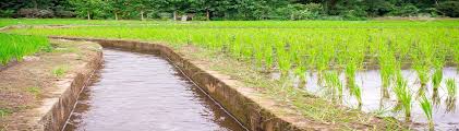 Mission Amrit Sarovar